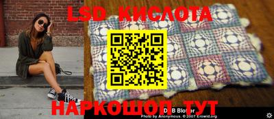 индика Новозыбков