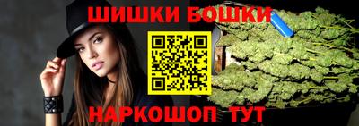spice Новодвинск