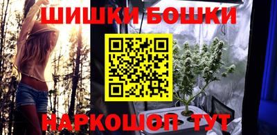 индика Новозыбков