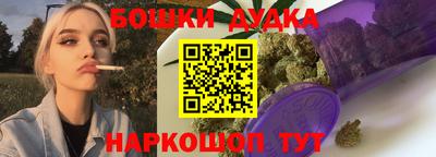 spice Новодвинск