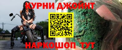 индика Новозыбков