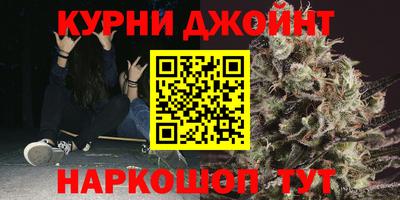 spice Новодвинск