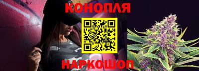 spice Новодвинск