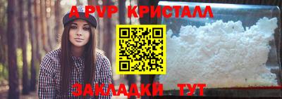 spice Новодвинск