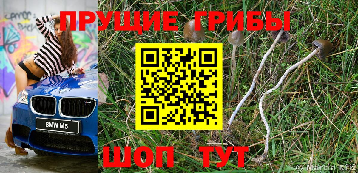 Шебекино  цена   Вход с VPN  Галлюциногенные грибы мухоморы 